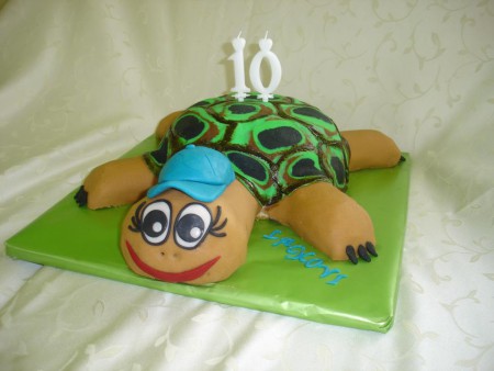 Korytnačka (4,8 kg)